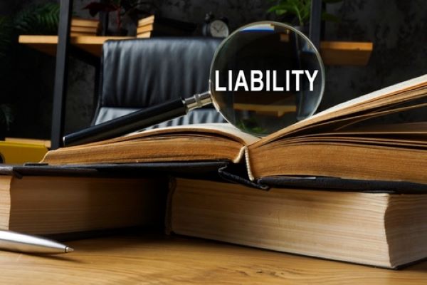 Liability -2025